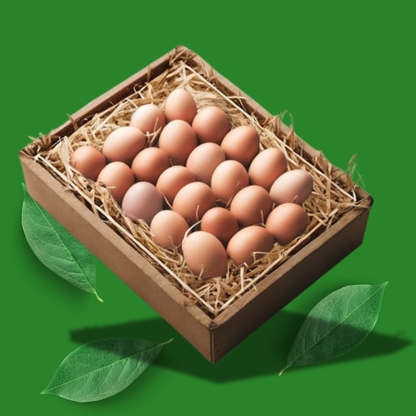 Farm Eggs - Pack of 30