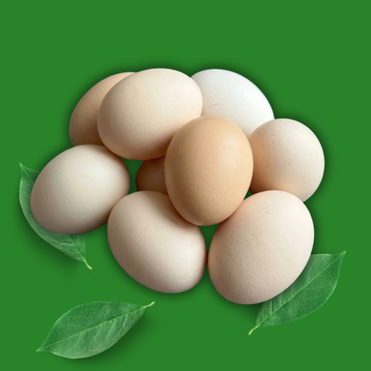 Farm Eggs - Pack of 30
