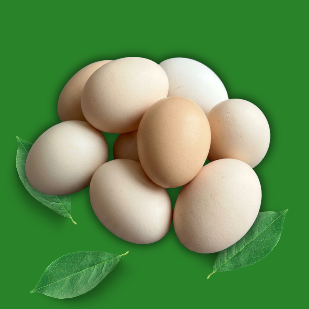 Farm Eggs - Pack of 20